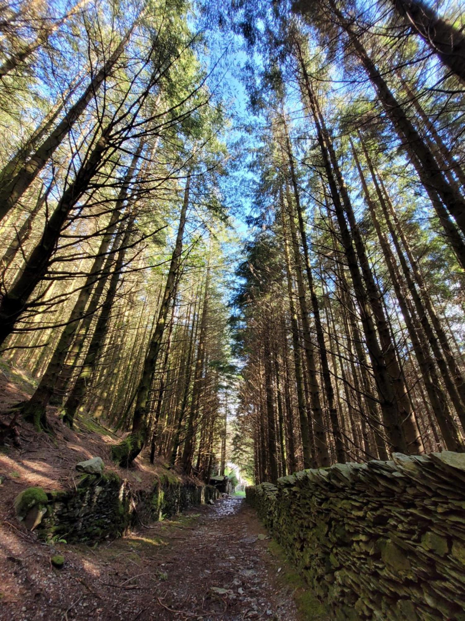 The Granary Corris On The Edge Of The Dyfi Forest Luaran gambar