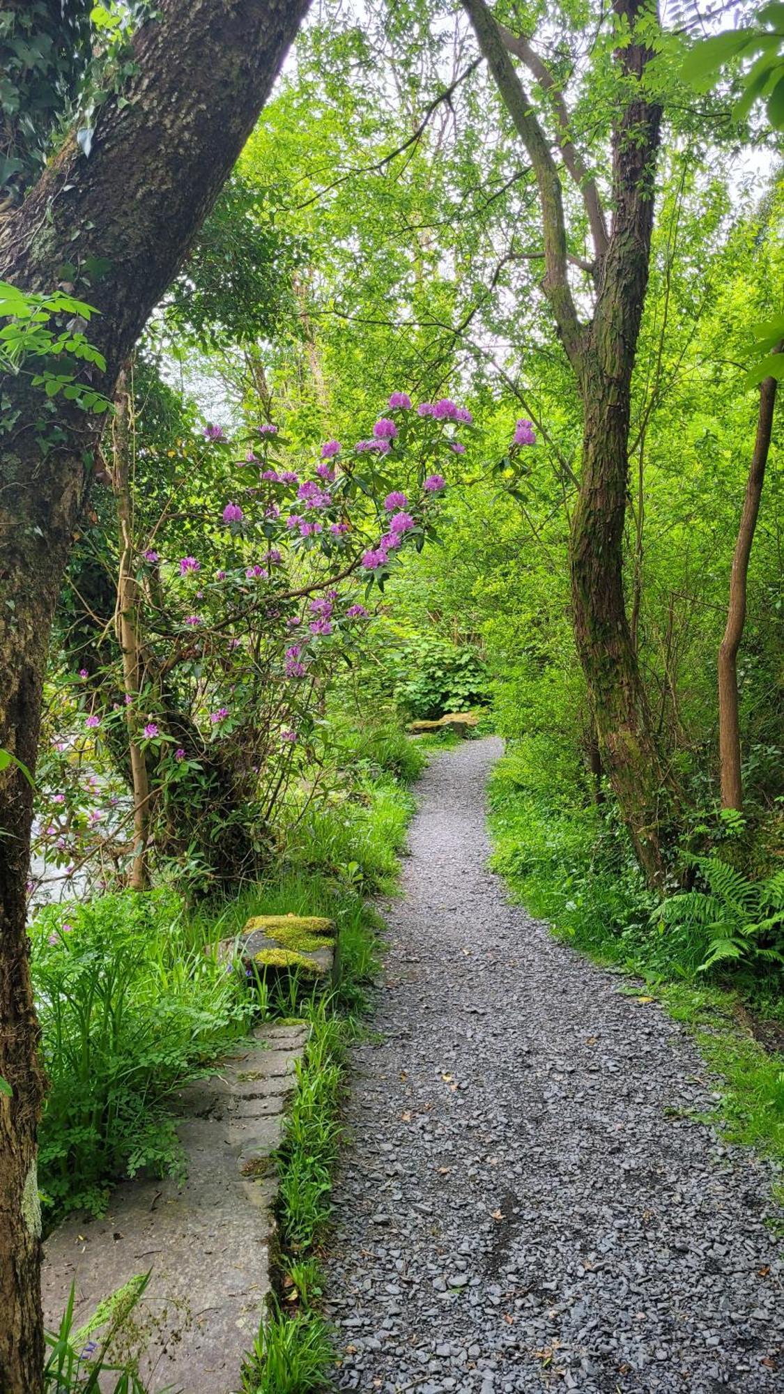 The Granary Corris On The Edge Of The Dyfi Forest Luaran gambar